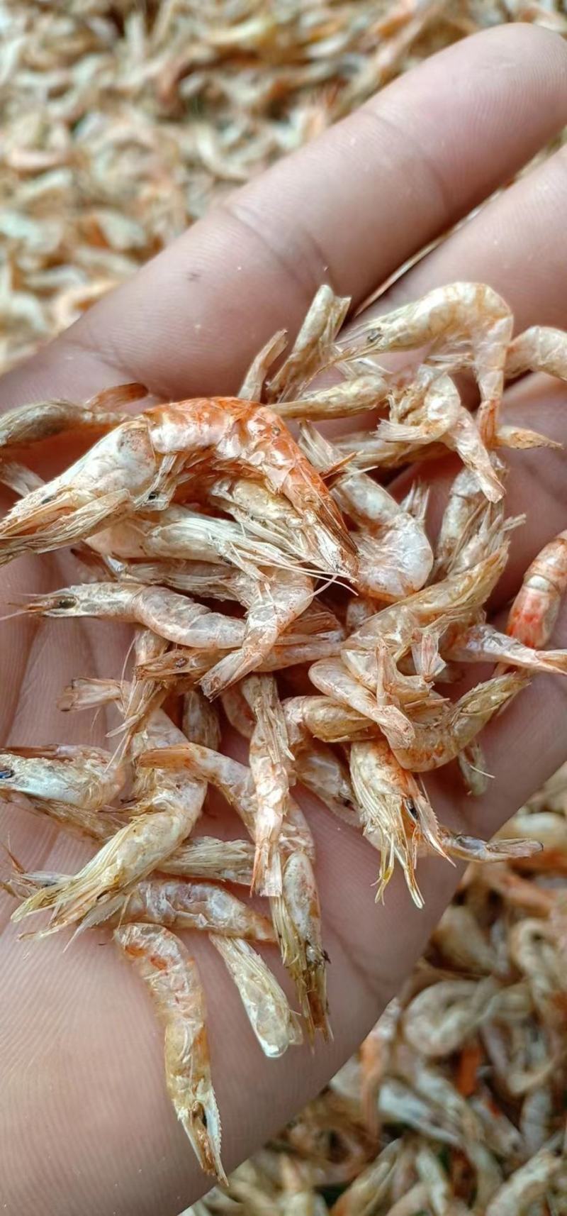 河虾河虾干，一手货源，规格齐全，有新鲜河虾和虾干，电联