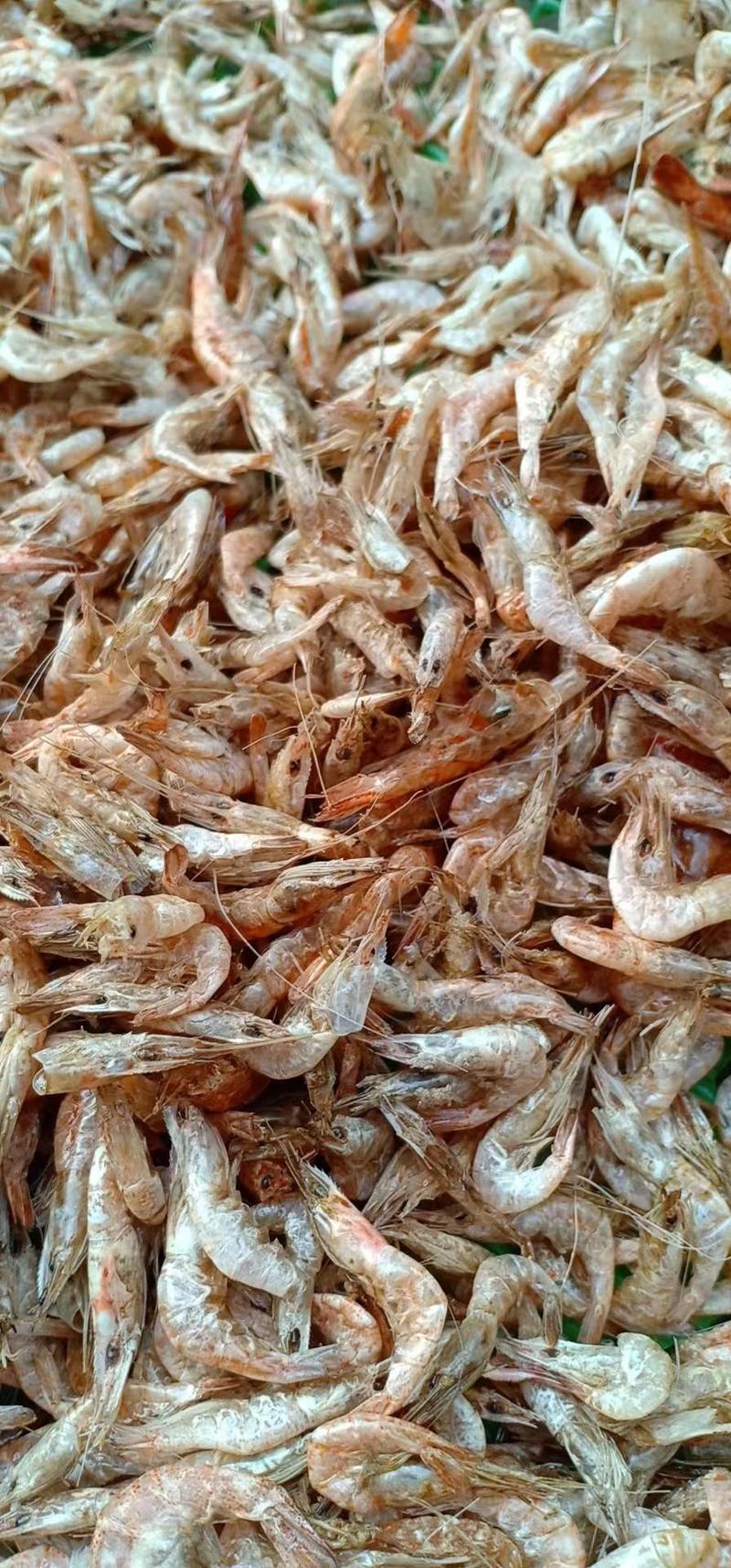 河虾河虾干，一手货源，规格齐全，有新鲜河虾和虾干，电联
