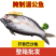 进口开背巴沙鱼腌制湄公鱼纸包鱼专用冷冻半成品20条一箱