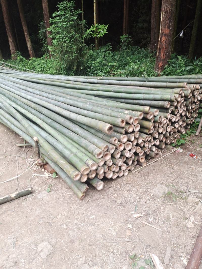 杨氏竹业加工厂