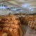 【推荐】甘肃高原地区种植土豆大量批发、定西土豆产地直销