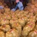 【实力商家】甘肃土豆、定西土豆.精选土豆.土豆大量上市