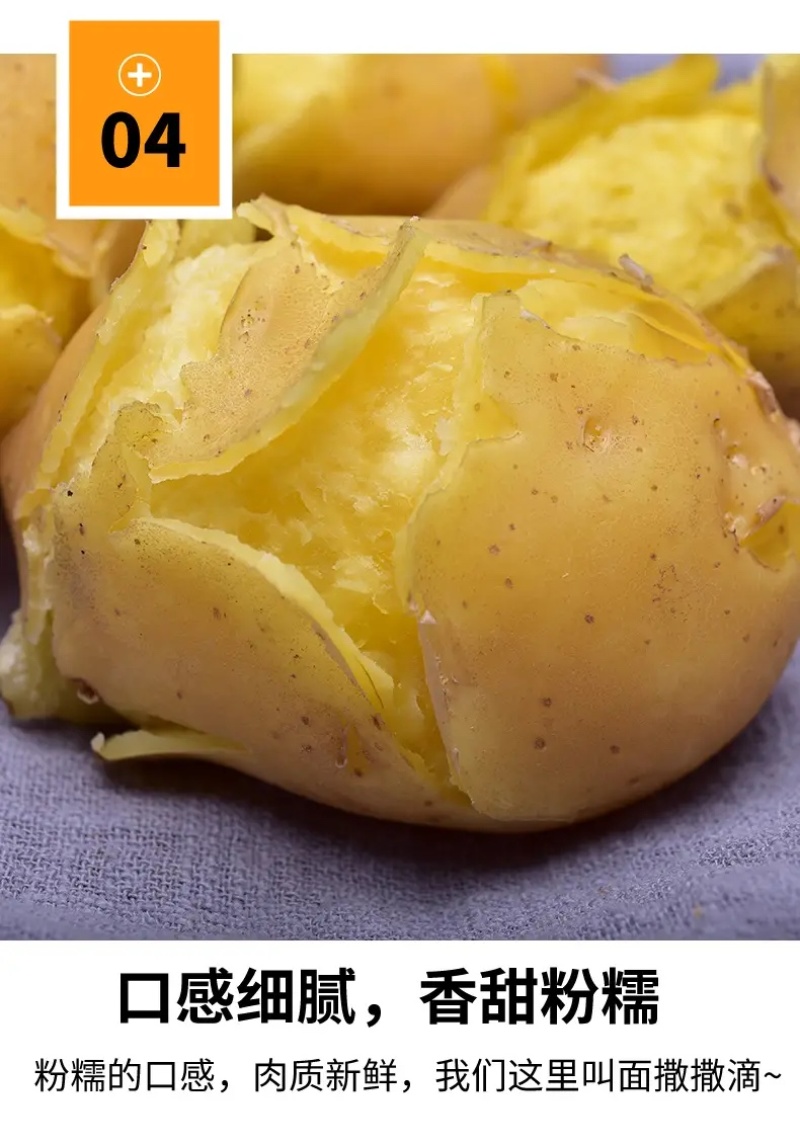【实力商家】甘肃土豆、定西土豆.精选土豆.土豆大量上市