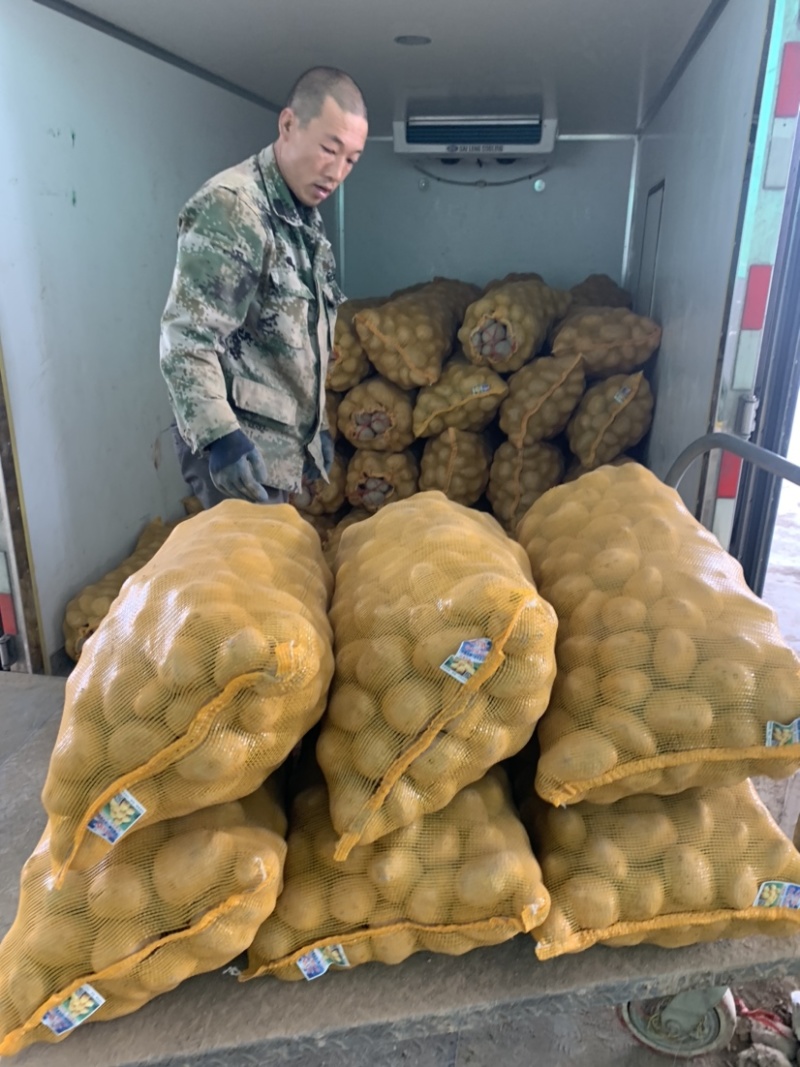 【实力商家】甘肃土豆、定西土豆.精选土豆.土豆大量上市