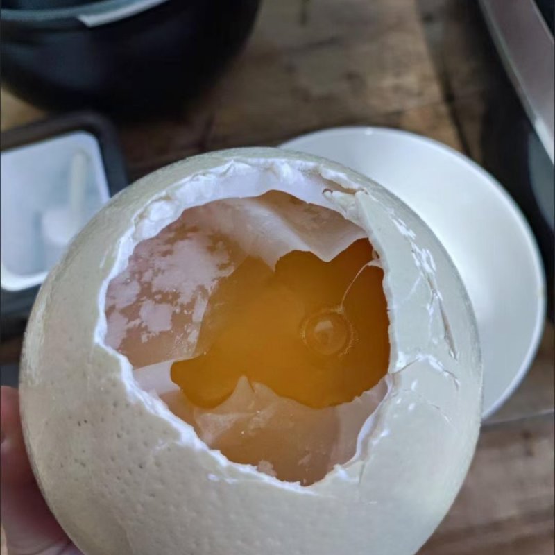 鸵鸟蛋