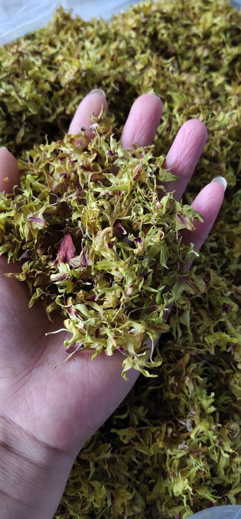 浙江雁荡山新鲜铁皮石斛花现采现发1斤包邮