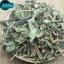 薄荷新货欢迎选购各种中药材养生花茶批发地道药材