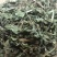 薄荷新货欢迎选购各种中药材养生花茶批发地道药材