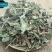 薄荷新货欢迎选购各种中药材养生花茶批发地道药材