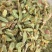 新货浙江品种铁皮石斛(切片)大胶质丰富散装长年批发