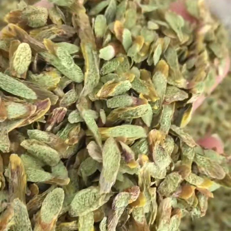新货浙江品种铁皮石斛(切片)大胶质丰富散装长年批发