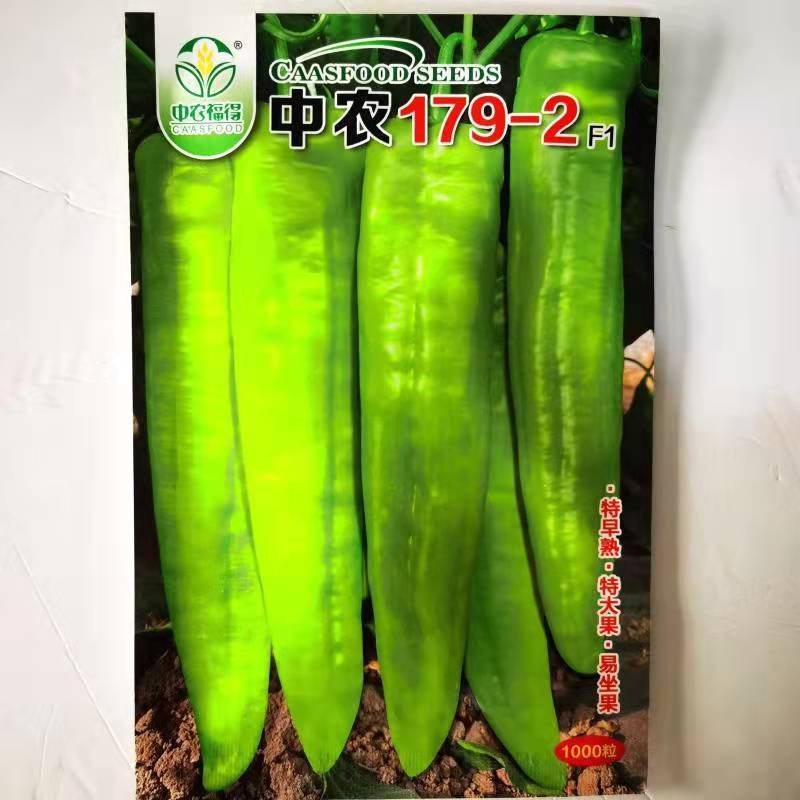 中农179-2早熟高产辣椒种大果型粗牛角椒种子黄绿皮耐热
