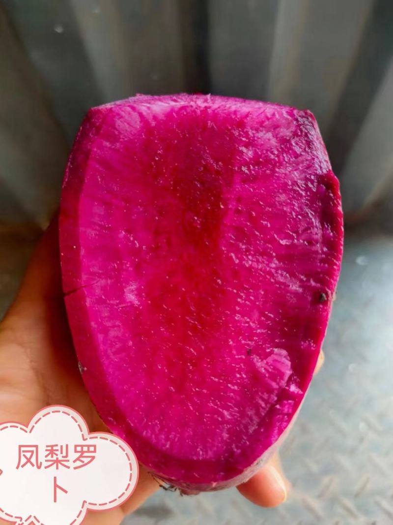 红皮红肉萝种子，口感甜翠，生长期60天左右，长势强，产量