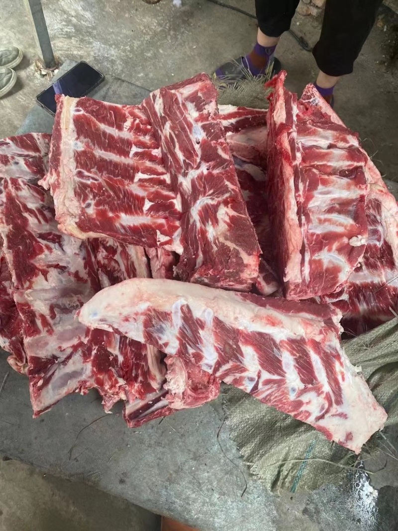 国产纯干满肉全牛脊骨厂家直供自家屠宰厂质量保证欢迎