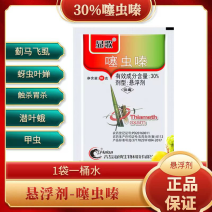 30%噻虫嗪蔬菜水果水稻稻飞虱蚜虫蓟马白粉虱绿叶蝉