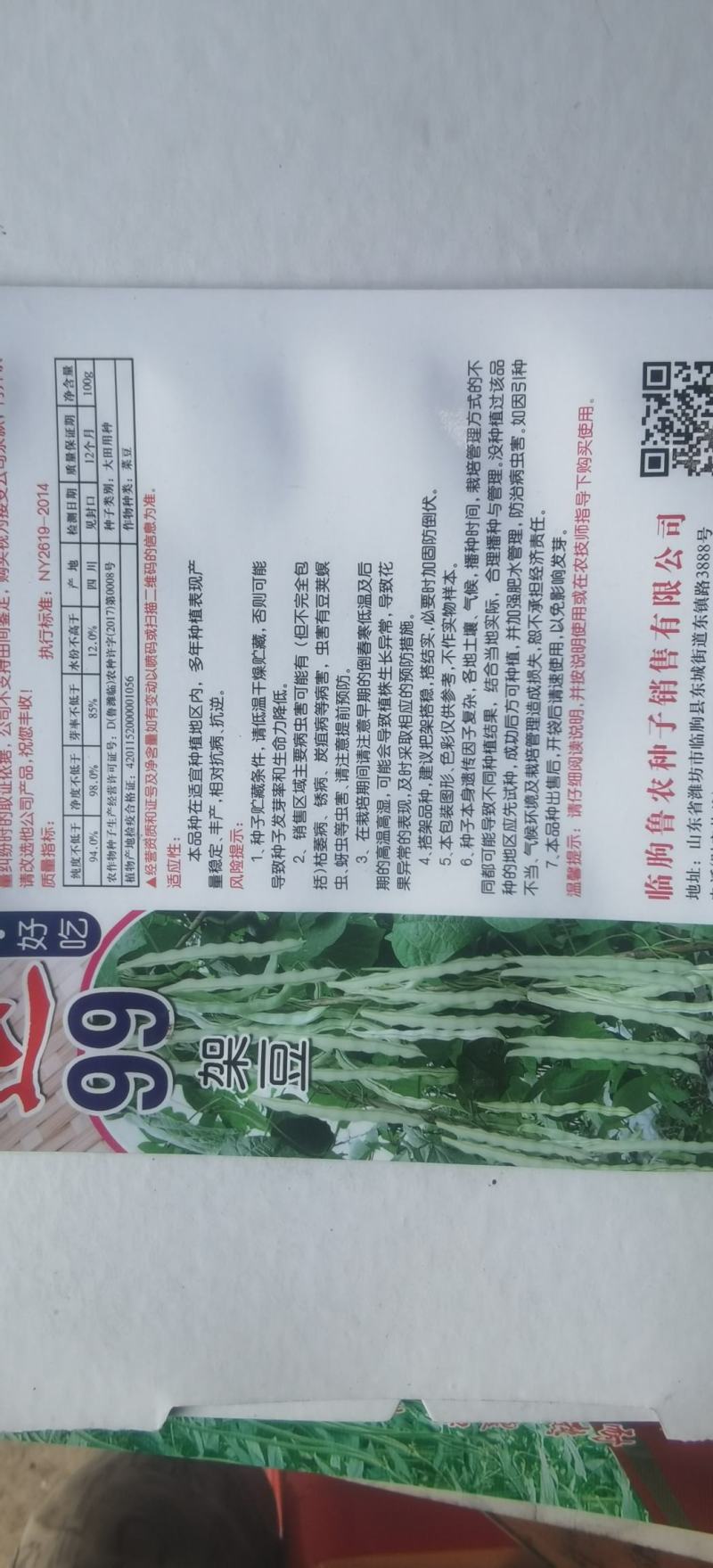 白色四季豆种子幸运99肉厚无筋结荚密春秋可种