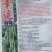 白色四季豆种子幸运99肉厚无筋结荚密春秋可种