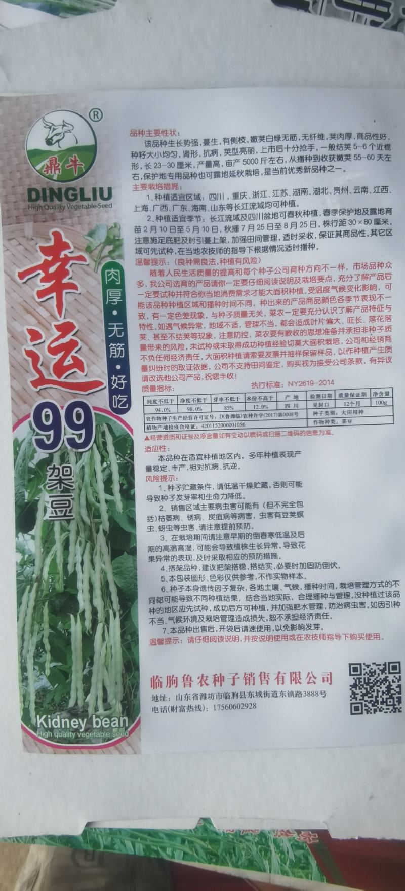 白色四季豆种子幸运99肉厚无筋结荚密春秋可种