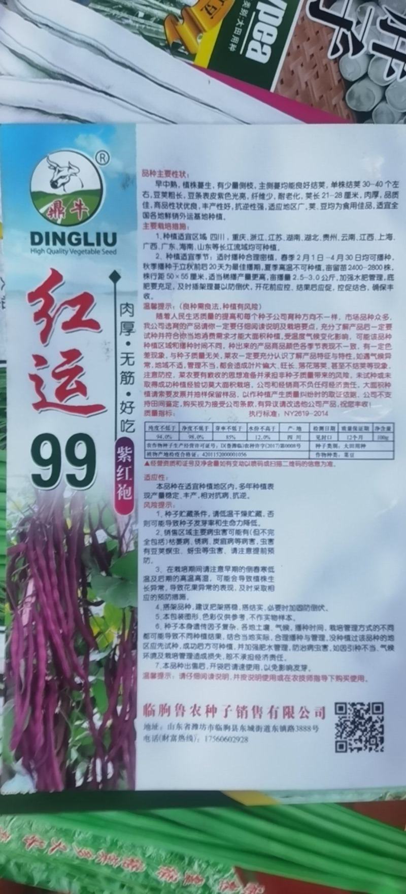 红色四季豆种子红运99厚肉型紫红袍无筋架豆