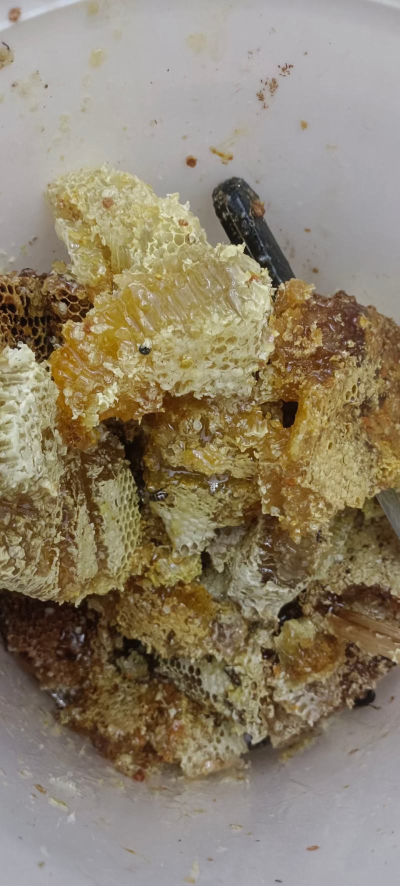 土蜂蜜，老爸自己在家的老房子上养了8个，保证纯真，假一赔