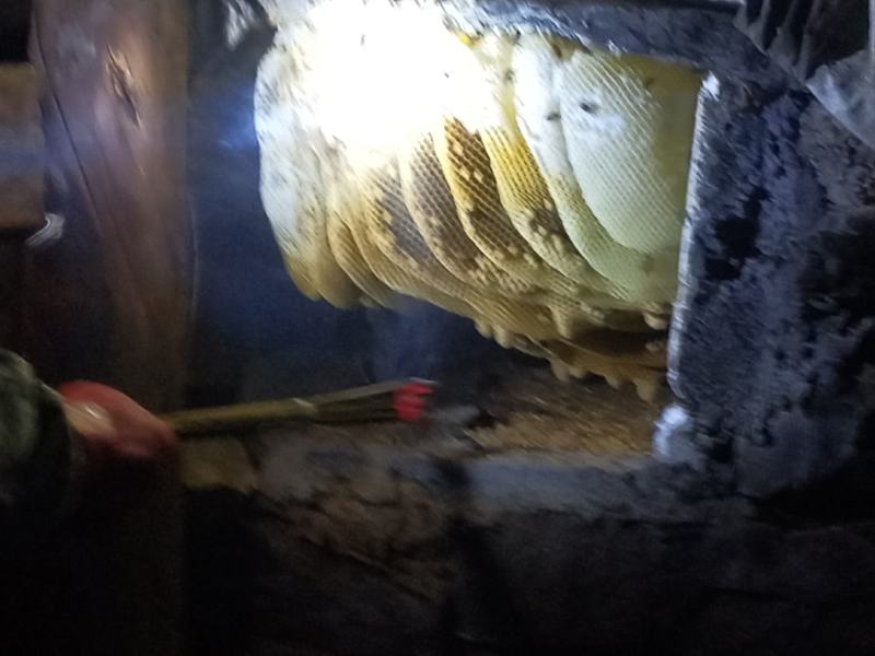 土蜂蜜，老爸自己在家的老房子上养了8个，保证纯真，假一赔
