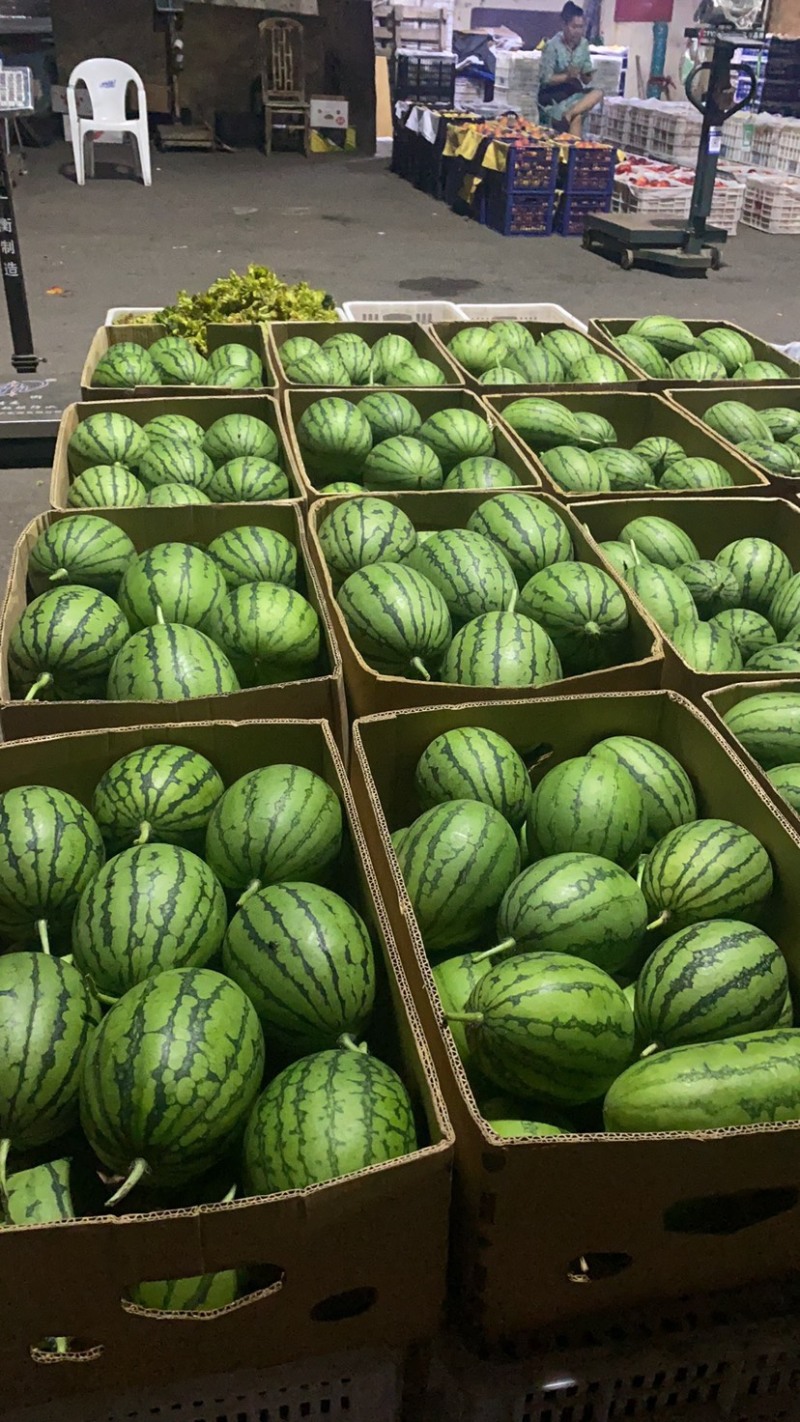 富晒礼品2k小西瓜，大量上市、货源充足，质量好，大量现货