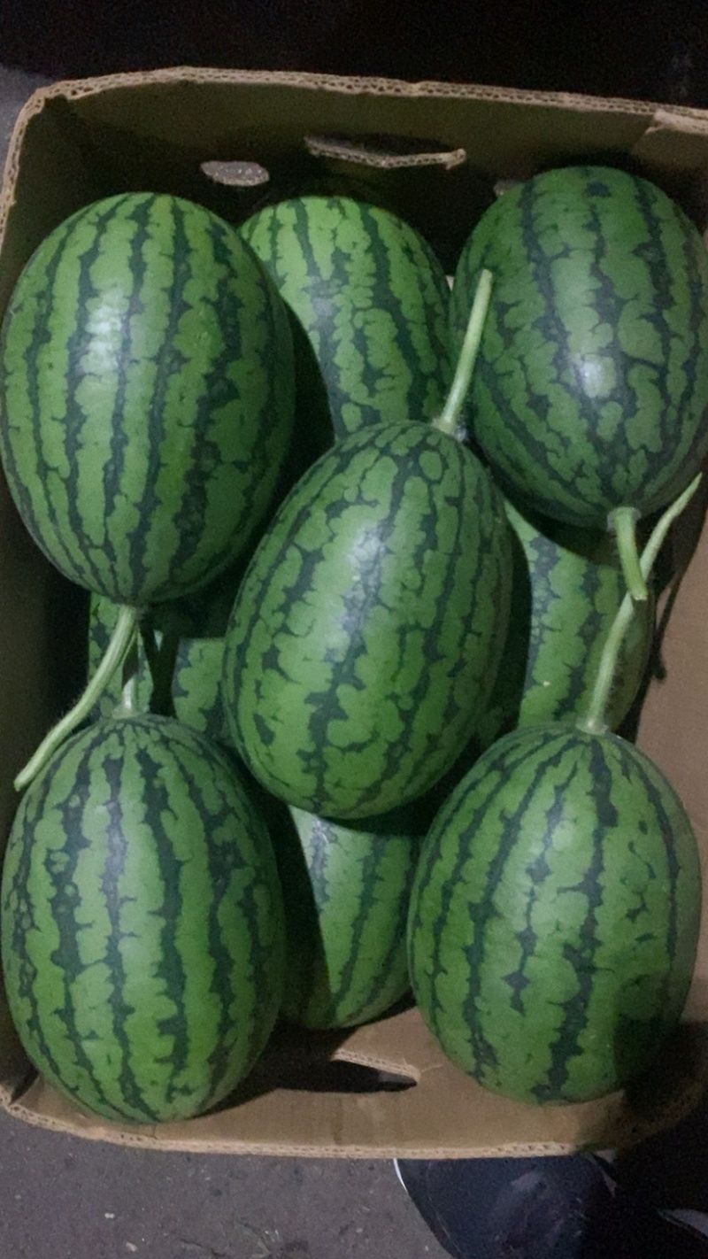 富晒礼品2k小西瓜，大量上市、货源充足，质量好，大量现货