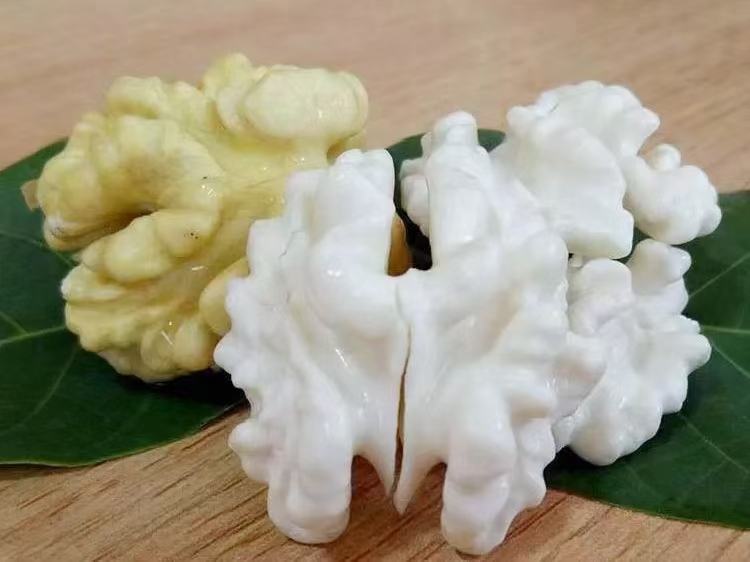 青皮核桃变质对比图