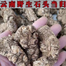 云南当归头原色特大云当归当归头一斤石头云南干货当归头
