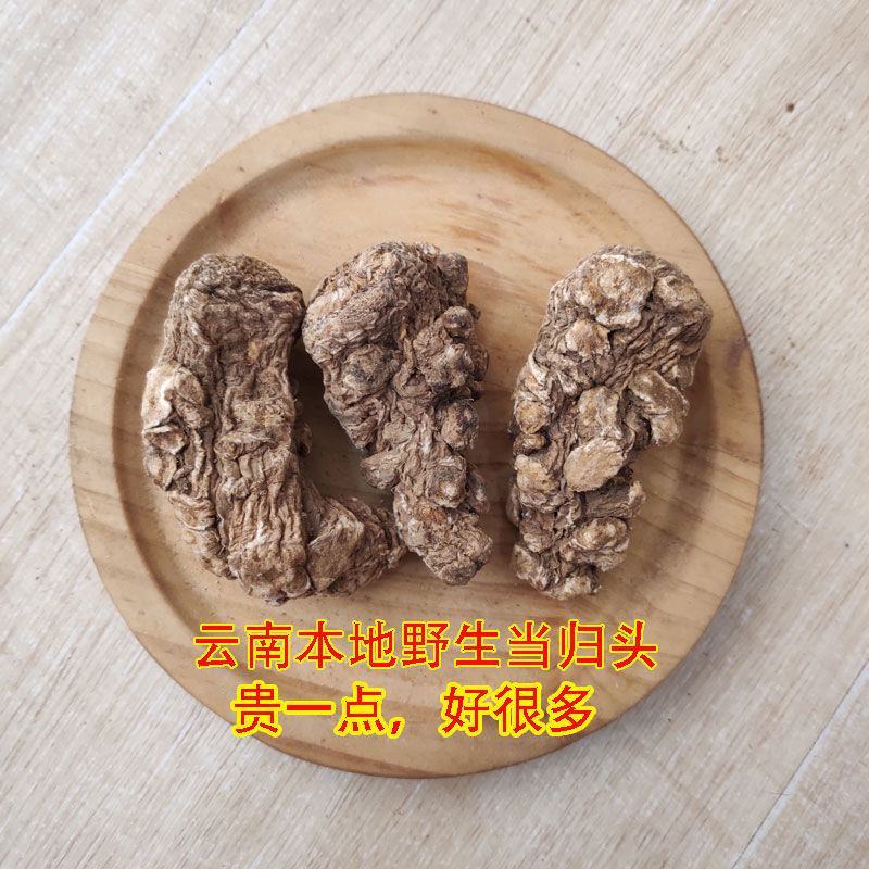 云南当归头原色特大云当归当归头一斤石头云南干货当归头