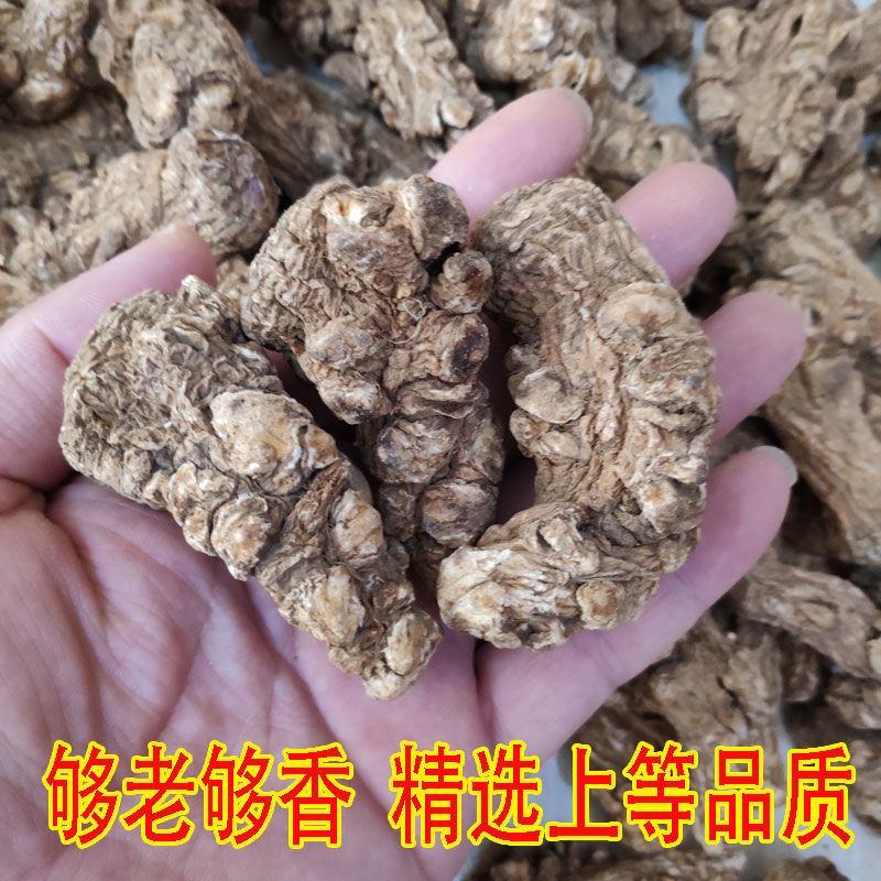 云南当归头原色特大云当归当归头一斤石头云南干货当归头