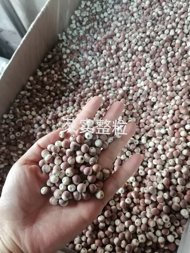 芡实米芡实整粒批发零售各种规格中药材芡实