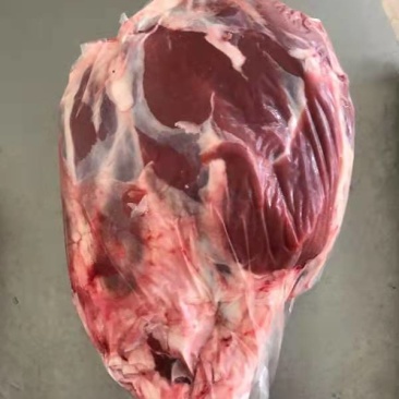 山东纯干鲁西黄牛肉价格优惠量大从优欢迎咨询
