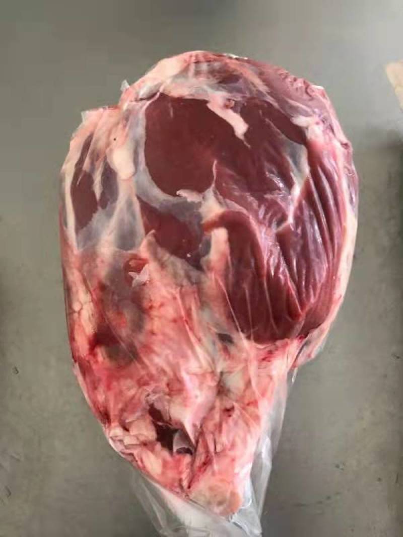 山东纯干鲁西黄牛肉价格优惠量大从优欢迎咨询