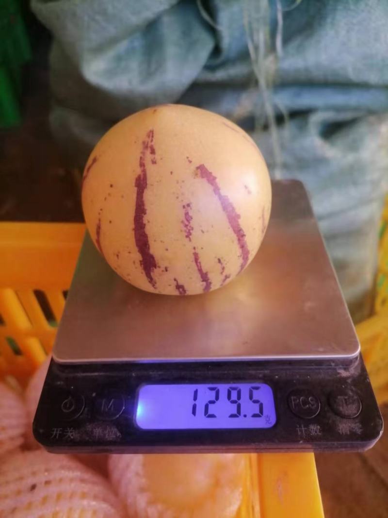 云南石林人参果圆果当季新鲜现摘黄肉多汁低糖孕妇水果非甘肃