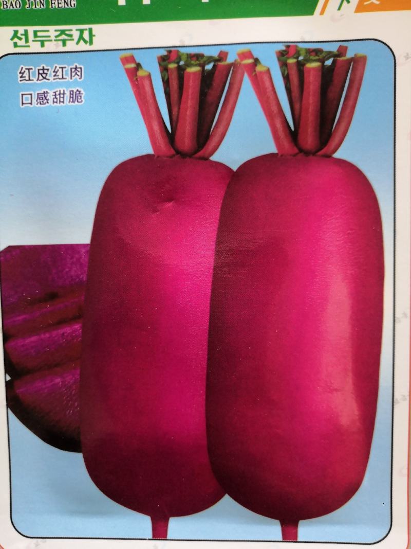红皮红肉萝种子，口感甜翠，生长期60天左右，长势强，产量