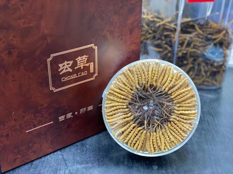 冬虫夏草头期非断草西藏那曲冬虫夏草中秋过节送礼礼