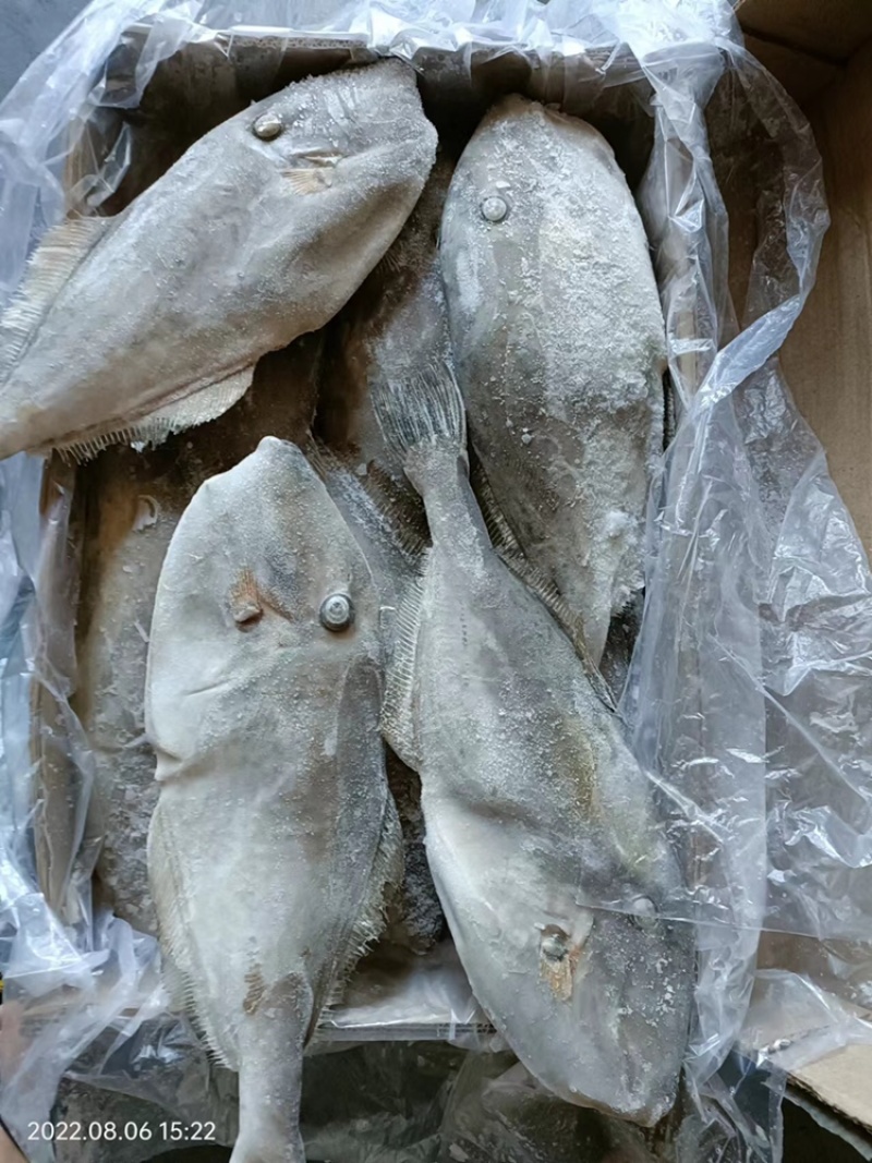 马面鱼扒皮鱼耗儿鱼海捕鱼深海鱼食堂超市市场