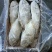 马面鱼扒皮鱼耗儿鱼海捕鱼深海鱼食堂超市市场