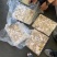 章鱼小章鱼八爪鱼小八爪鱼一口章章鱼一口章鱼