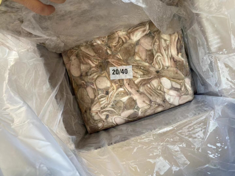 章鱼小章鱼八爪鱼小八爪鱼一口章章鱼一口章鱼