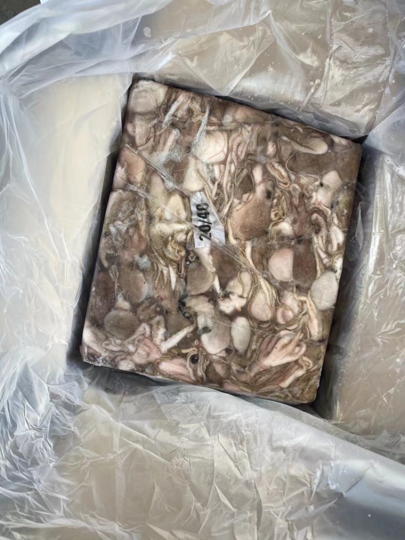 章鱼小章鱼八爪鱼小八爪鱼一口章章鱼一口章鱼