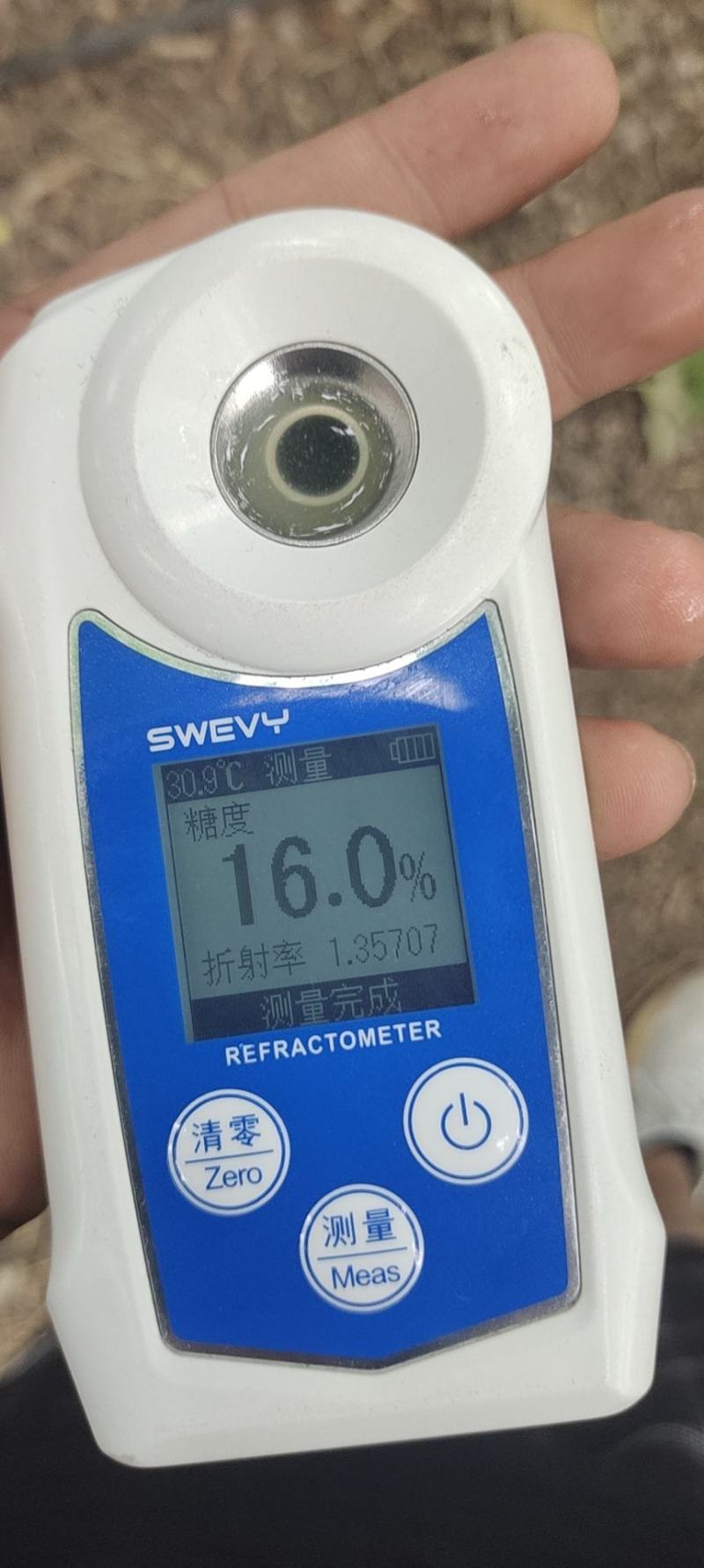 四川西昌市阳光玫瑰蓝宝石克伦生大量上市！