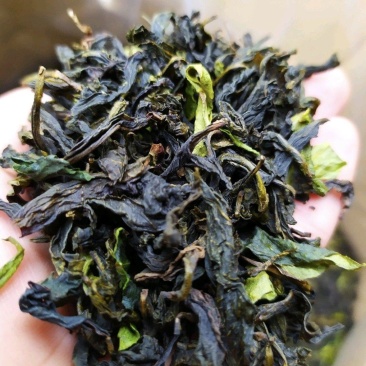 土山茶叶惠来八仙茶潮汕高山茶叶炭焙土山茶1袋1斤