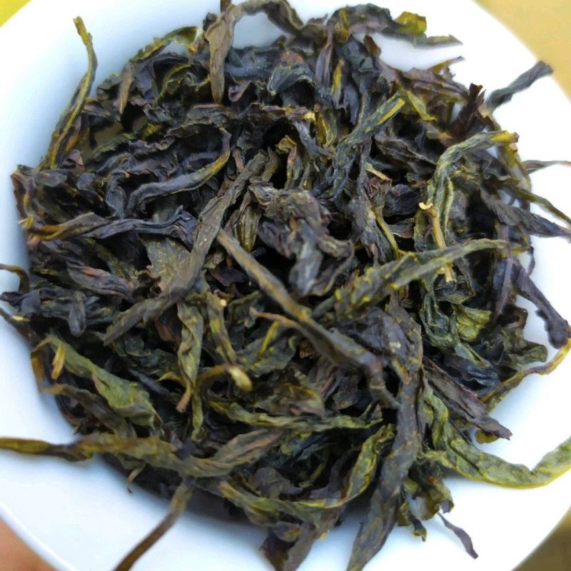 高山黄旦茶惠来本地茶黄旦土山茶清香八仙茶潮汕黄旦土山茶