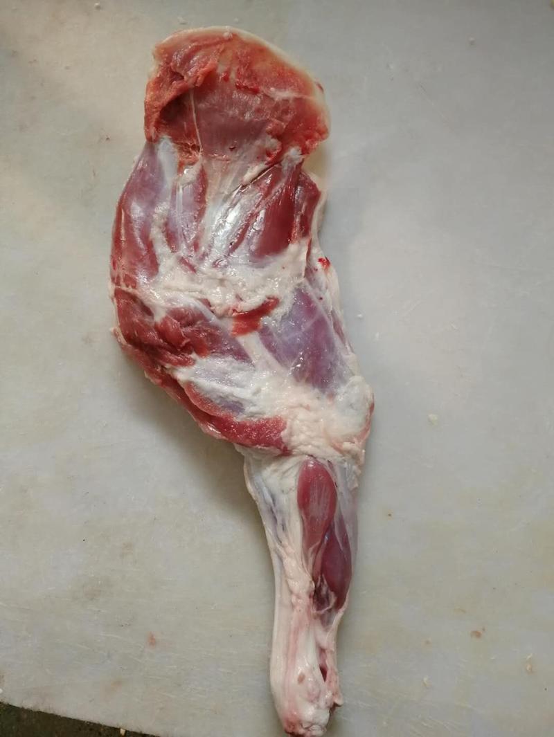 内蒙羔羊大前腿带整个的月牙骨19斤6条