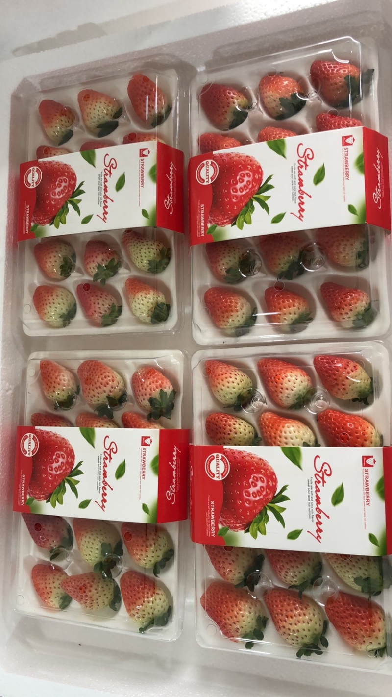 安徽草莓天仙醉草莓加工果对接工厂货可视频看货