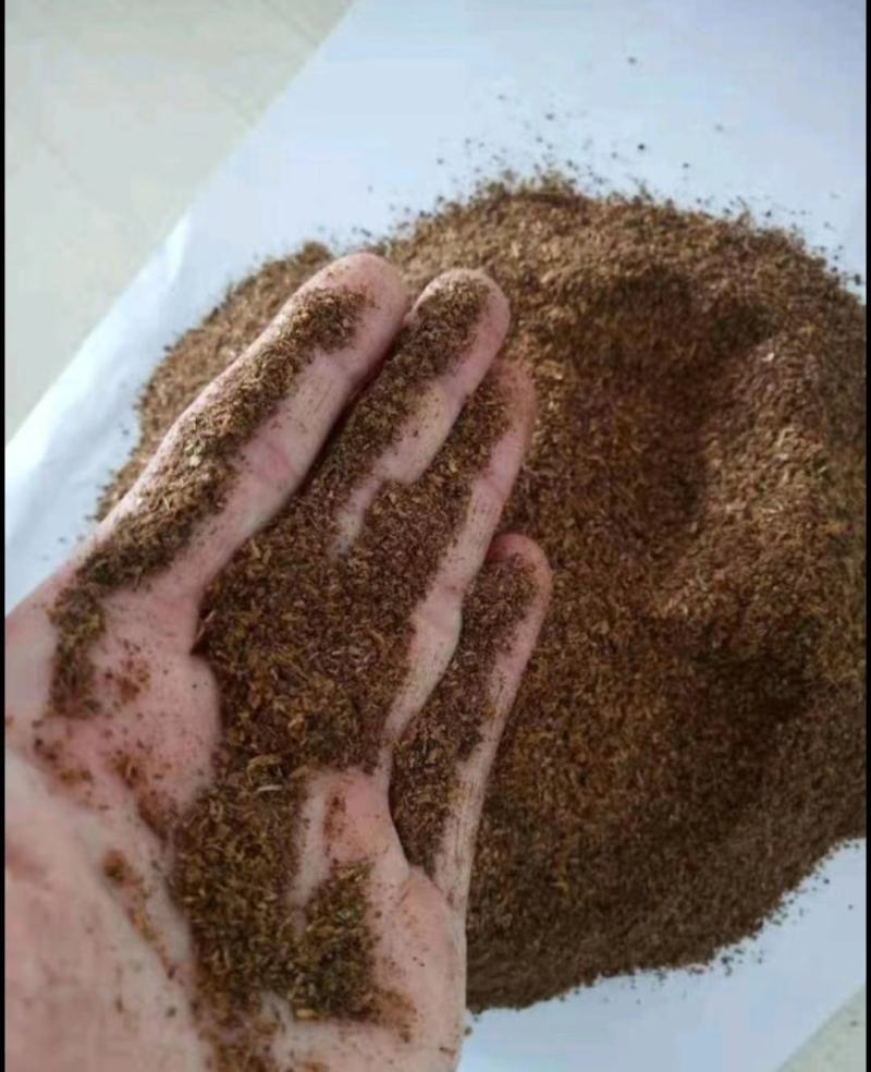 【精品】酱香酒糟粉，猪牛羊活禽饲料，一手货源，货源充