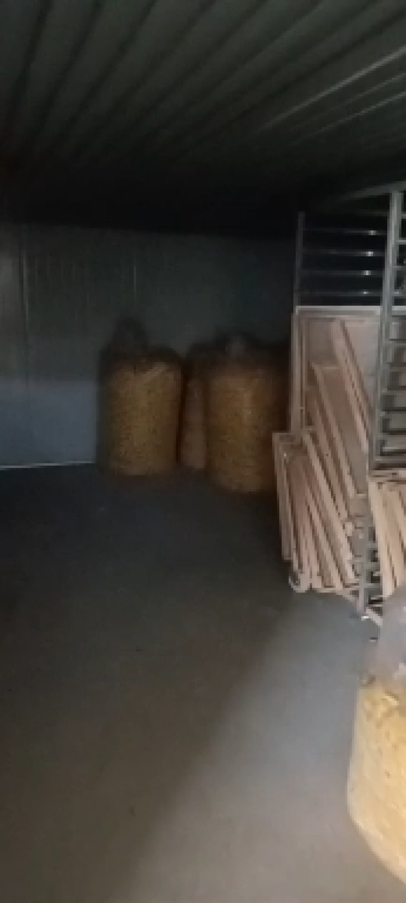 【推荐】金丝皇菊胎菊罐装花，代包装，代包罐，网店供货