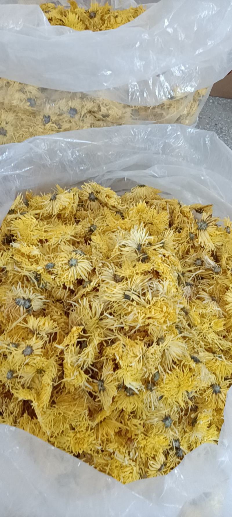 【推荐】金丝皇菊胎菊罐装花，代包装，代包罐，网店供货